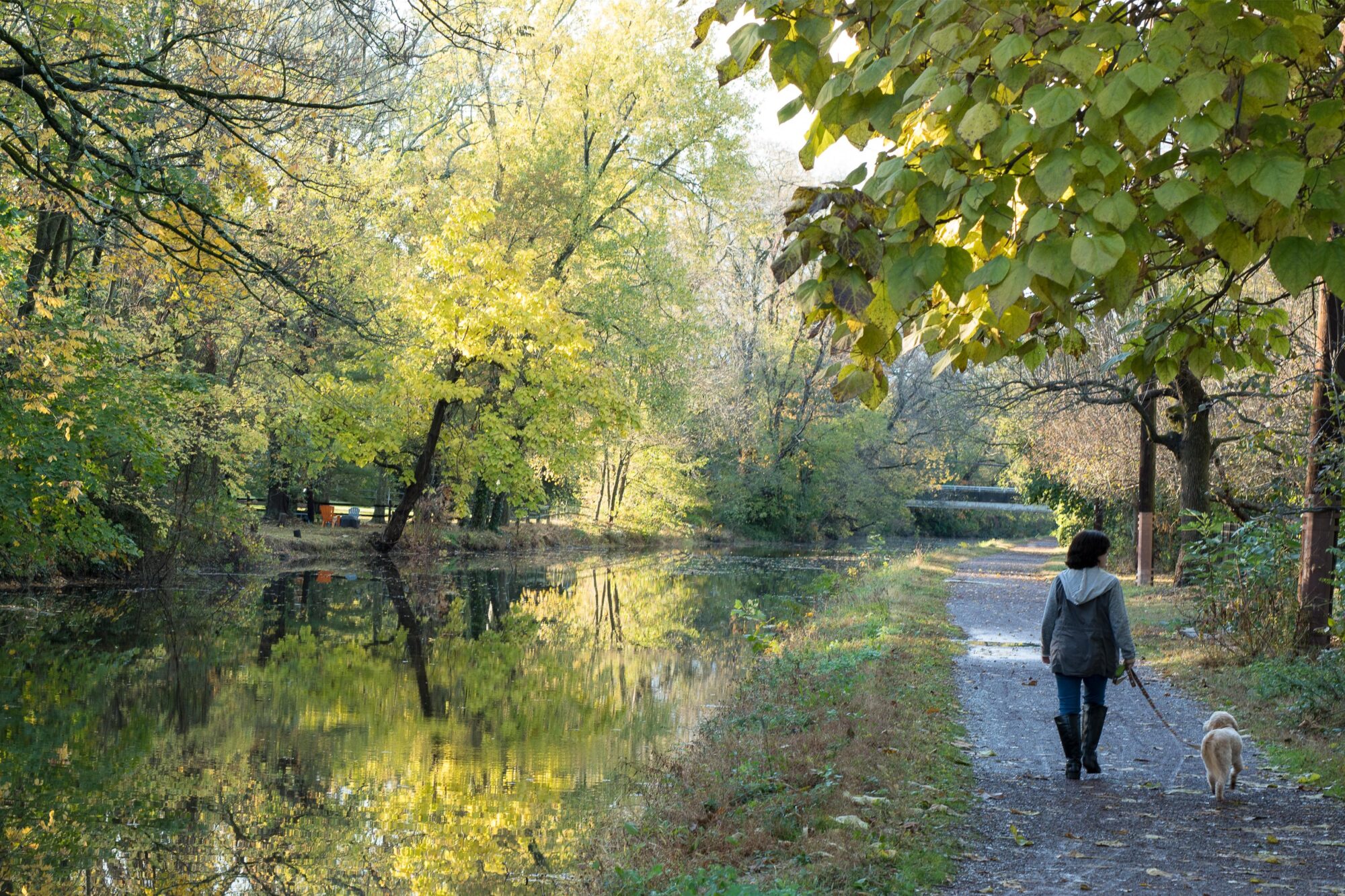 woman walking her dog along the river .